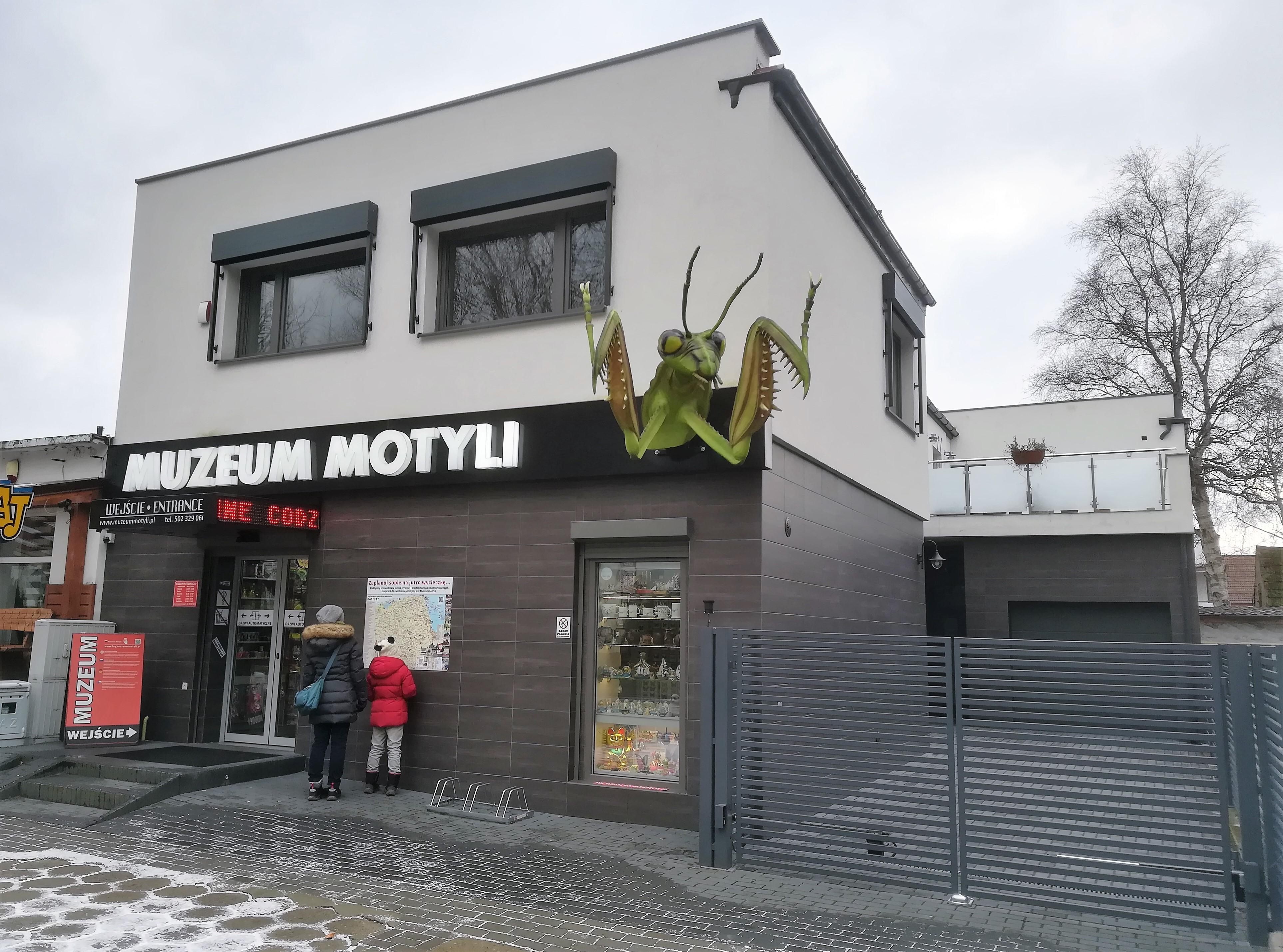 Muzeum Motyli w Łebie